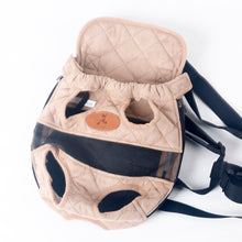 Carrier Travel Backpack