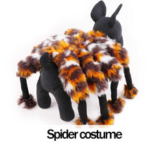 Funny Spider Costume