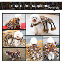 Funny Spider Costume