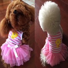 Cute Princess Dress