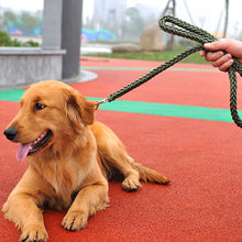 Solid Chunky Nylon Leash