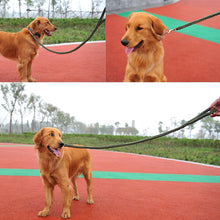 Solid Chunky Nylon Leash