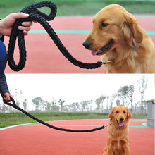 Solid Chunky Nylon Leash
