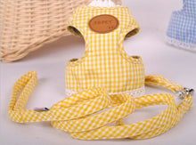 Harness With Matching Leash