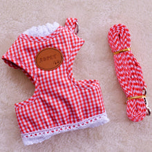 Harness With Matching Leash