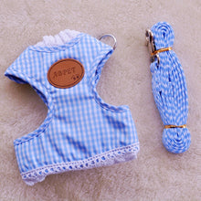 Harness With Matching Leash