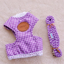 Harness With Matching Leash