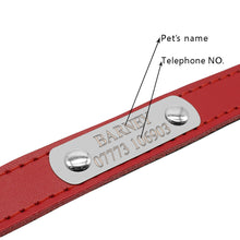 Leather Personalized Engraved Collars