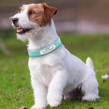 Leather Personalized Engraved Collars
