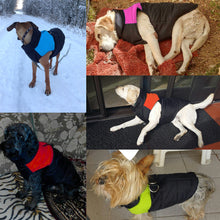 Waterproof Vest Jacket