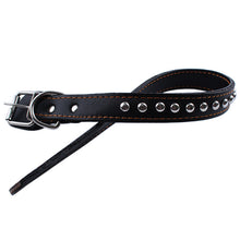 Genuine Leather Leash with Collar