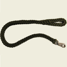 Solid Chunky Nylon Leash