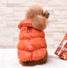Luxury Princess Winter Coat