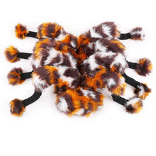 Funny Spider Costume