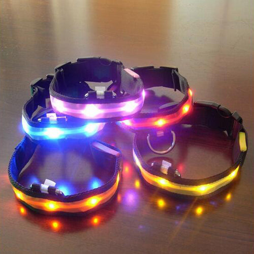 Night Safety LED Collars S M L XL