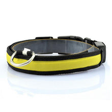 Night Safety LED Collars S M L XL