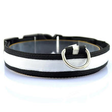 Night Safety LED Collars S M L XL