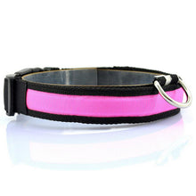 Night Safety LED Collars S M L XL