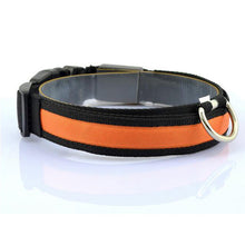 Night Safety LED Collars S M L XL