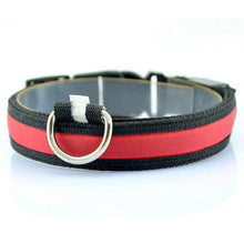 Night Safety LED Collars S M L XL