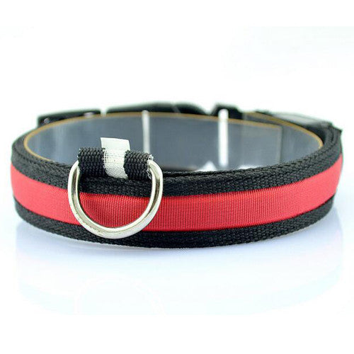 Night Safety LED Collars S M L XL