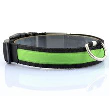 Night Safety LED Collars S M L XL