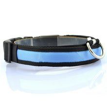 Night Safety LED Collars S M L XL
