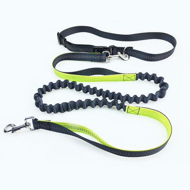 Elastic Waist Leash for Jogging