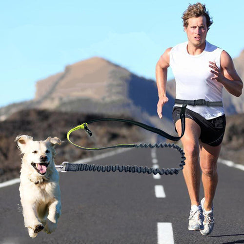 Elastic Waist Leash for Jogging
