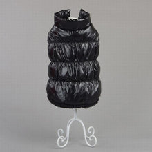 Warm Fashion Jacket Small and Large Dogs