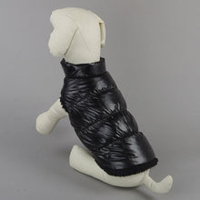 Warm Fashion Jacket Small and Large Dogs