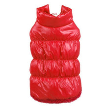 Warm Fashion Jacket Small and Large Dogs