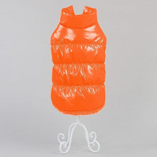 Warm Fashion Jacket Small and Large Dogs