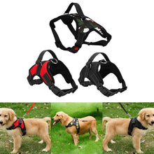 Adjustable Harness