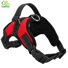 Adjustable Harness