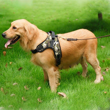 Adjustable Harness