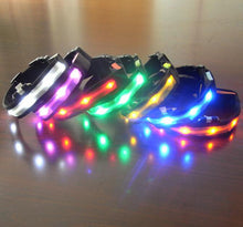 Night Safety LED Collars S M L XL
