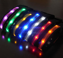 Night Safety LED Collars S M L XL