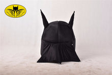 Bat Cave Dog House