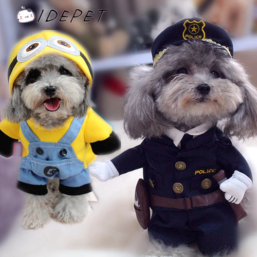 Funny Costumes