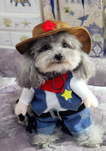 Funny Costumes