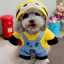 Funny Costumes