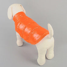 Warm Fashion Jacket Small and Large Dogs