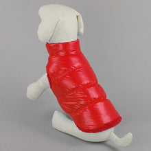 Warm Fashion Jacket Small and Large Dogs