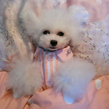 Teddy Classy Pajamas