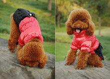Luxury Princess Winter Coat