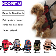 Carrier Travel Backpack