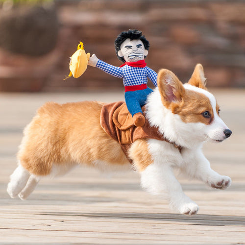 Riding Cowboy Funny Costume